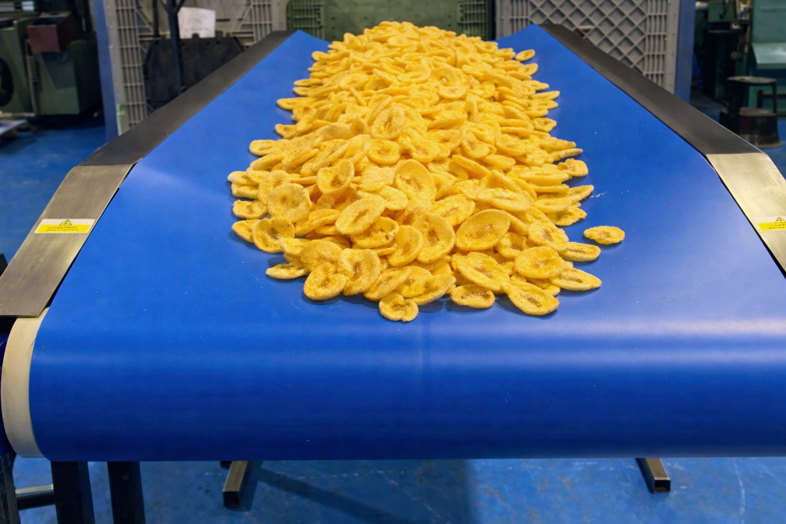 Sidewall Conveyor Belt
